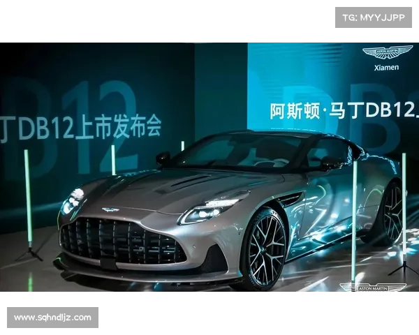 斯托尔父亲注资助力阿斯顿马丁加速新车队工厂建设 斯托尔父亲注资助力阿斯顿马丁加速新车队工厂建设